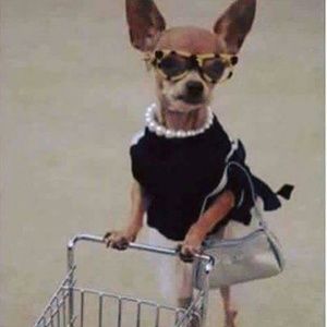 Meet your Posher, Michelle